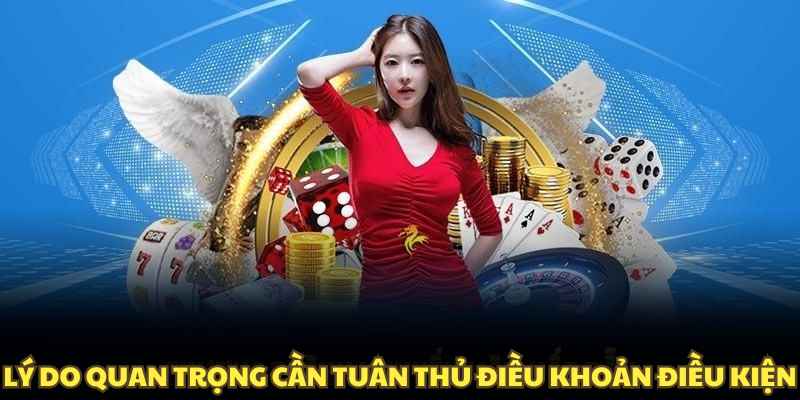 Lý do quan trọng cần tuân thủ điều khoản điều kiện