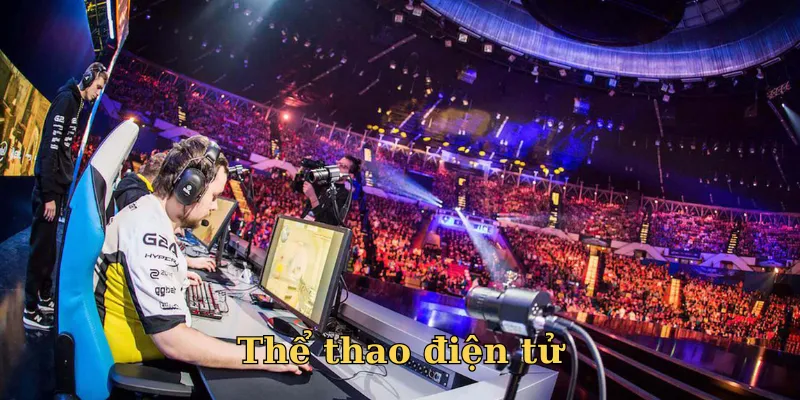 Cá cược Esports thu hút người chơi hiện đại
